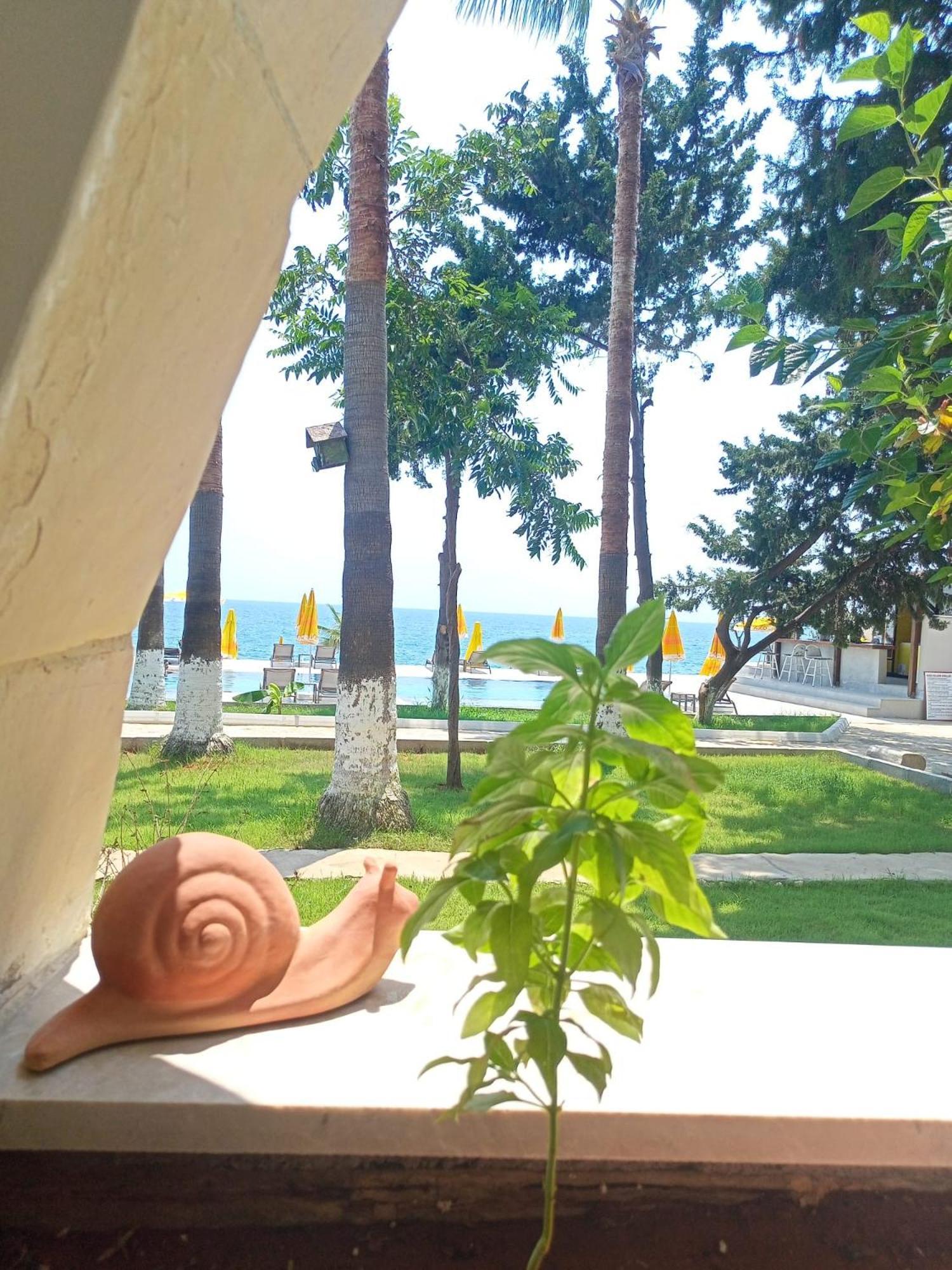 Casalita Hotel Kızkalesi Eksteriør bilde